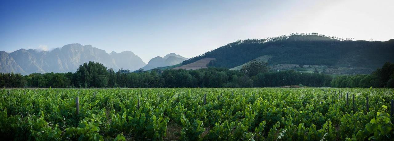 Gite Franschhoek Exterior photo