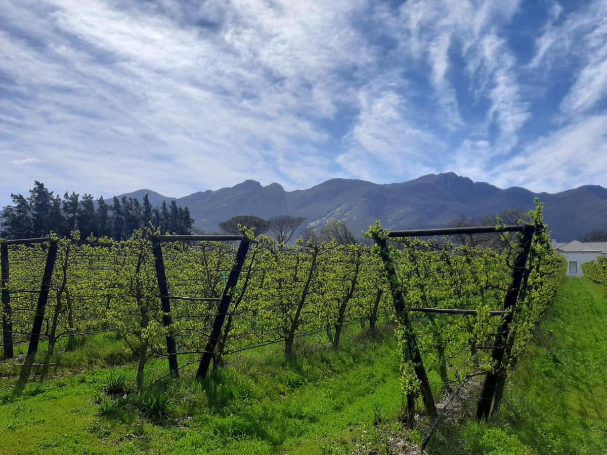 Gite Franschhoek Exterior photo